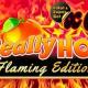 Really Hot Flaming Edition – играть на игровом автомате на реальные деньги
