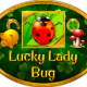 Lucky Lady Bug